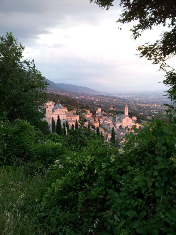 La Corte Degli Angeli Locazioni Turistiche Apartment Асизи Екстериор снимка